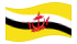 Brunei Darussalam-Bandiera sventolante