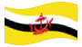 Brunei Darussalam-Bandiera sventolante