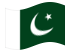 Pakistan-Bandiera sventolante