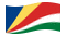 Seychelles-Bandiera sventolante