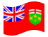 Ontario-Bandiera sventolante