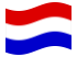 Assia-Nassau (provincia prussiana)-Bandiera sventolante
