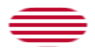 Sons of Liberty (USA 1765 ca., 13 strisce)-Bandiera come vignetta ovale