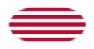 Sons of Liberty (USA 1765 ca., 13 strisce)-Bandiera come vignetta ovale