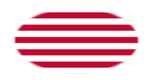 Sons of Liberty (USA 1765 ca., 13 strisce)-Bandiera come vignetta ovale