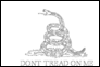 Bandiera Gadsden (USA 1775 ca.) da colorare