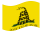 Bandiera animata Gadsden (USA 1775 ca.)