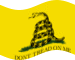 Bandiera Gadsden (USA 1775 ca.) statica