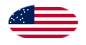 Great Star (USA 1818-1819)-Bandiera come vignetta ovale