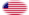 Star-Spangled Banner (USA 1795-1818)-Bandiera come vignetta ovale