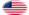 USA 37 stelle (1867-1877)-Bandiera come vignetta ovale