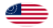 USA 37 stelle (1867-1877)-Bandiera come vignetta ovale
