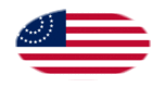 USA 37 stelle (1867-1877)-Bandiera come vignetta ovale