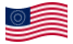 USA 37 stelle (1867-1877)-Bandiera sventolante
