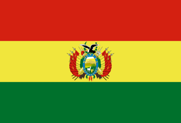 Bandiera Bolivia, Bandiera Bolivia