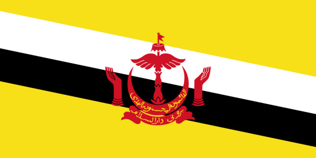Bandiera Brunei Darussalam
