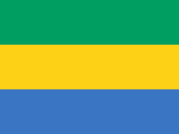 Bandiera Gabon, Bandiera Gabon