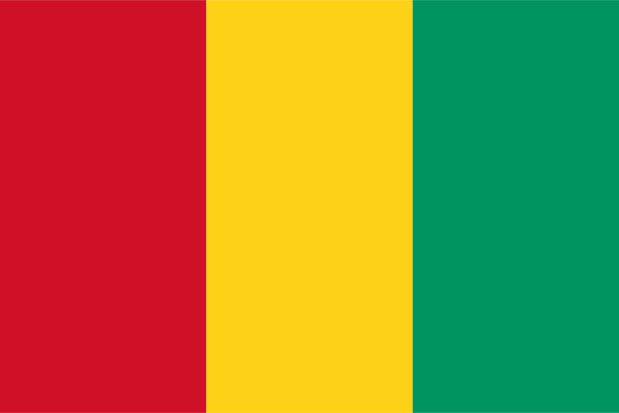 Bandiera Guinea