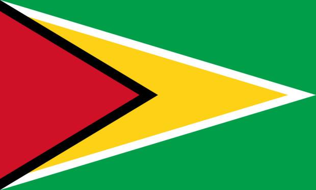 Bandiera Guyana, Bandiera Guyana
