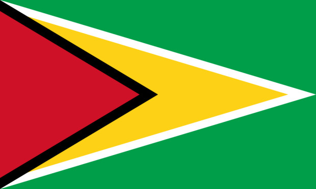 Bandiera Guyana, Bandiera Guyana