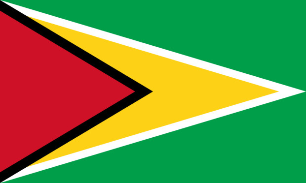 Bandiera Guyana