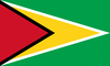 Grafica della bandiera Guyana