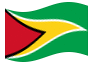 Bandiera animata Guyana
