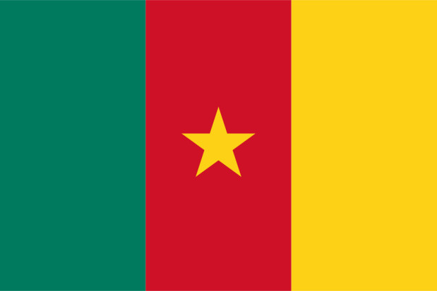 Bandiera Camerun, Bandiera Camerun