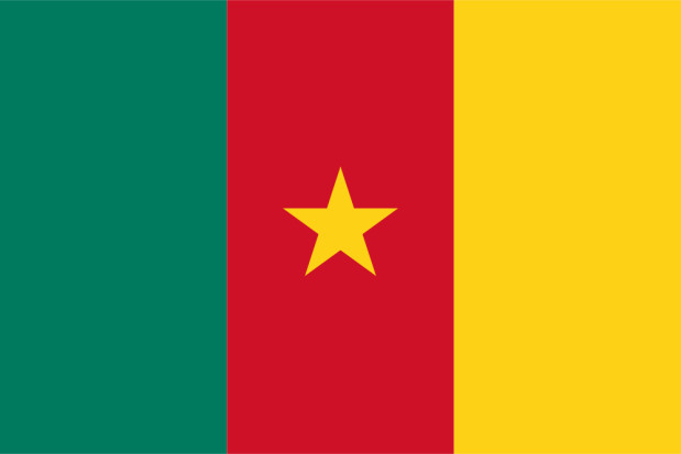 Bandiera Camerun