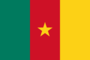 Grafica della bandiera Camerun