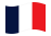 Francia-Bandiera sventolante