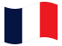 Francia-Bandiera sventolante