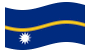 Nauru-Bandiera sventolante