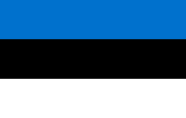 Bandiera Estonia, Bandiera Estonia