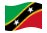 Saint Kitts e Nevis-Bandiera sventolante