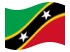 Saint Kitts e Nevis-Bandiera sventolante