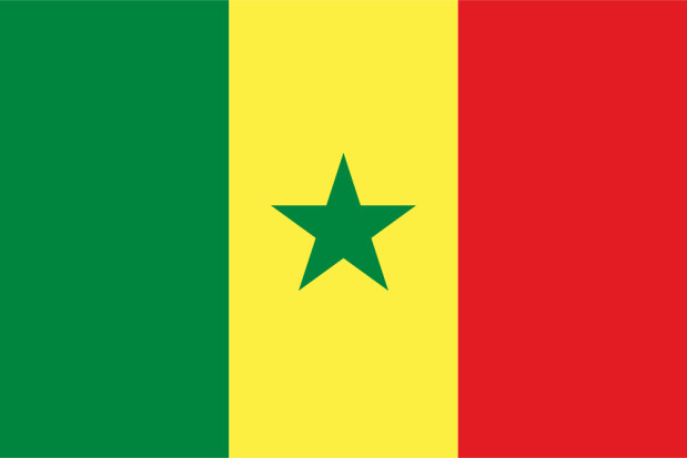 Bandiera Senegal, Bandiera Senegal