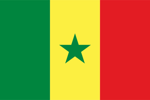 Bandiera Senegal, Bandiera Senegal