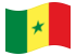 Senegal-Bandiera sventolante