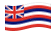 Hawaii-Bandiera sventolante