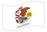 Bandiera animata Illinois