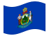 Maine-Bandiera sventolante