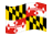 Maryland-Bandiera sventolante