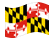 Maryland-Bandiera sventolante