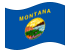 Montana-Bandiera sventolante