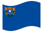 Bandiera animata Nevada