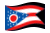 Ohio-Bandiera sventolante