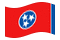 Tennessee-Bandiera sventolante