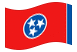 Tennessee-Bandiera sventolante