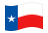 Texas-Bandiera sventolante